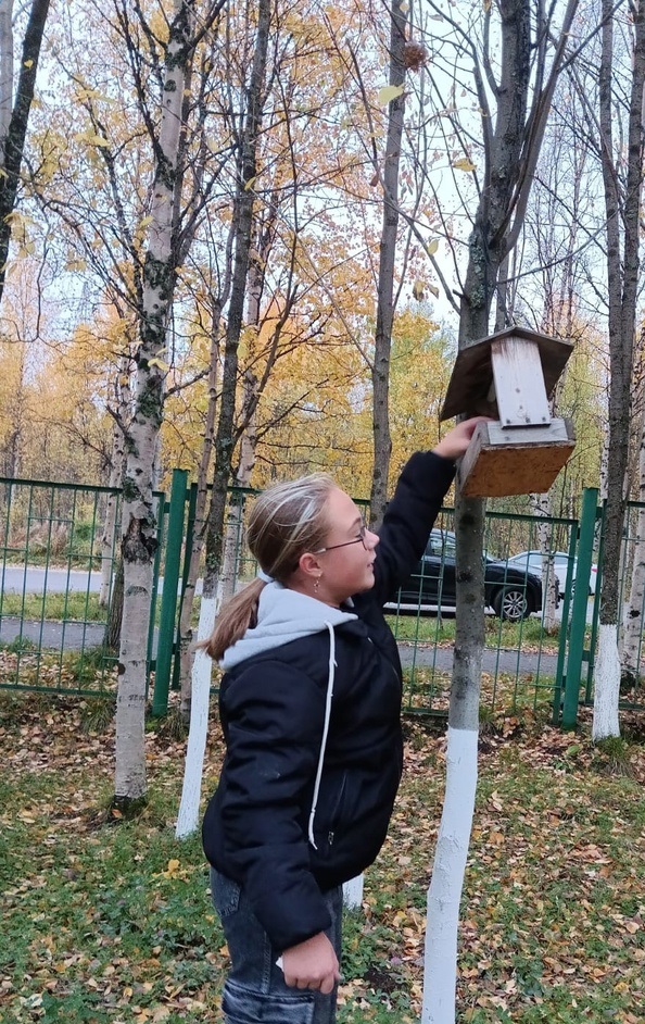 Квест &amp;quot; Найди клад первым&amp;quot;.